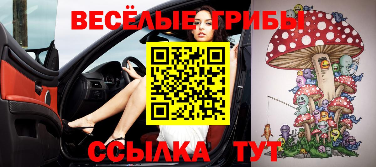 Псилоцибиновые грибы прущие грибы  Вход с VPN  Галлюциногенные грибы Magic Shrooms  Хасавюрт 